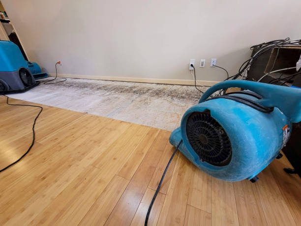 Professional Basement Flood Cleanup technician working in Tolar, TX